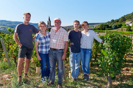 Domaine Merlin