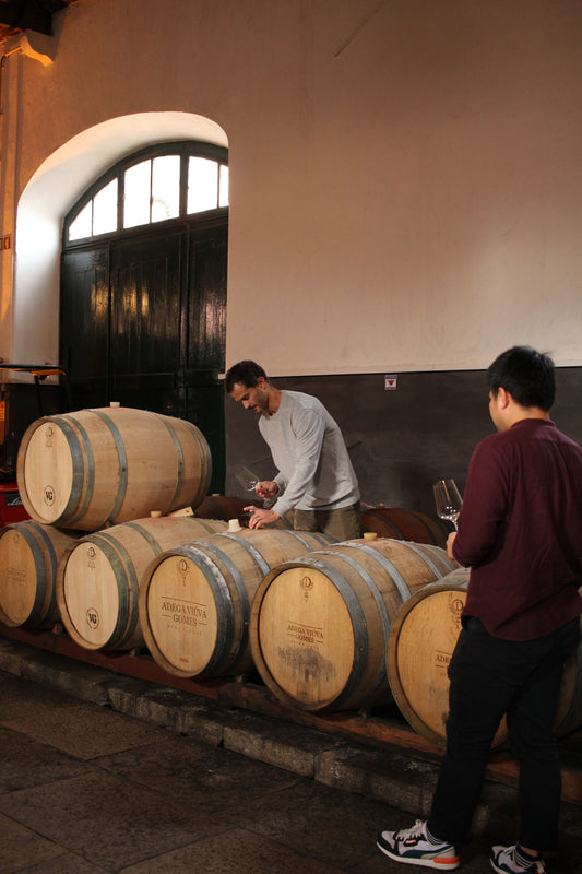 Weine vom Ende Europas: Viúva Gomes & die Magie von Colares