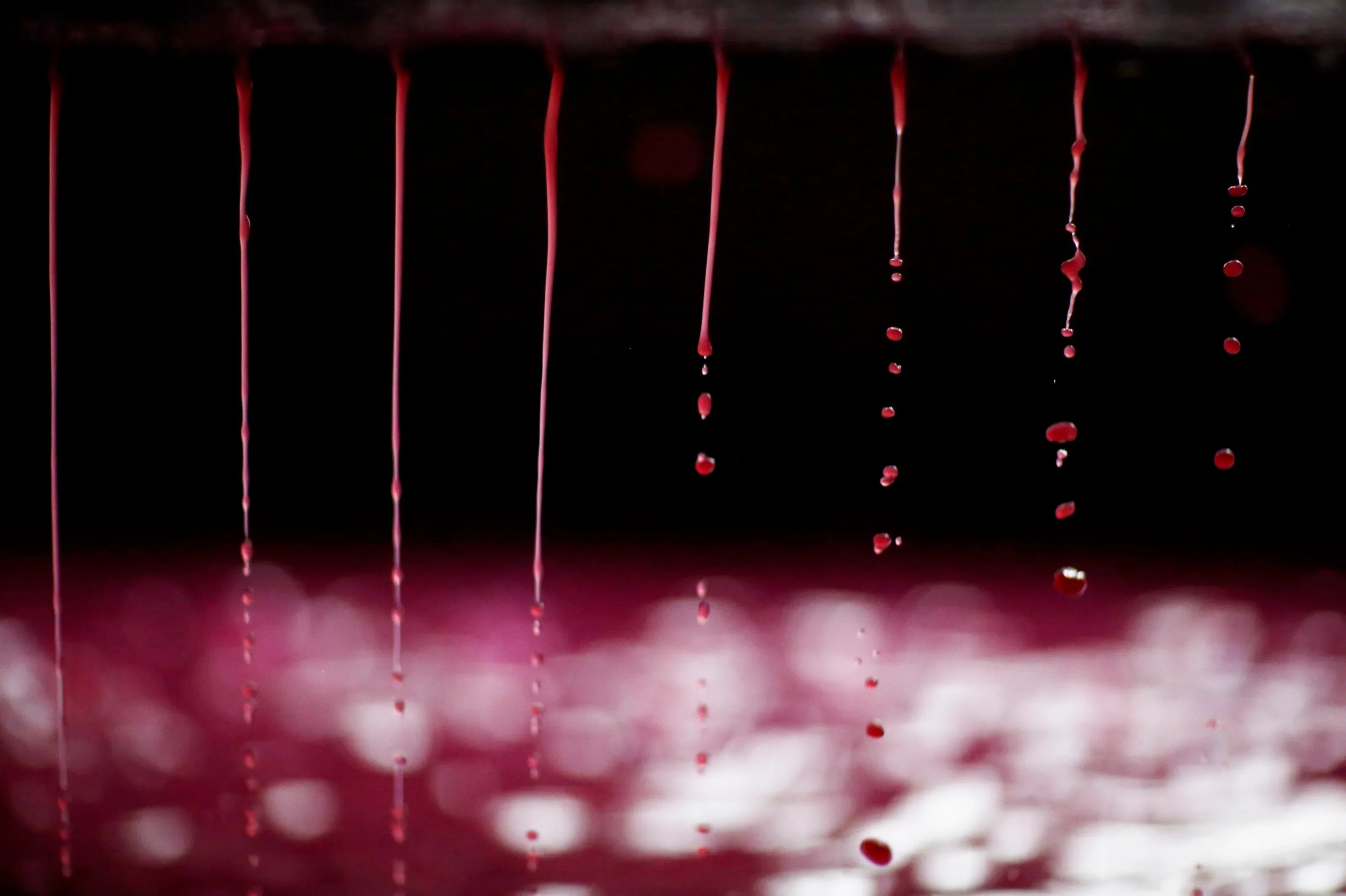Rotwein