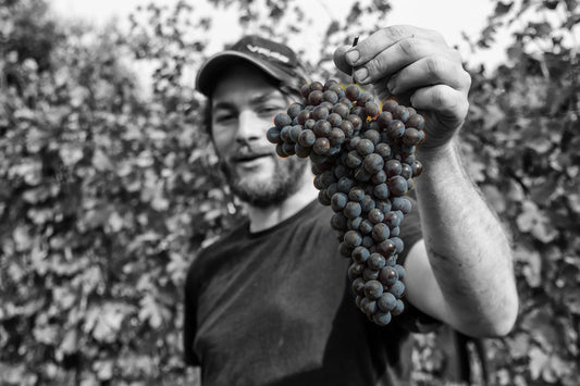 Diego Conterno