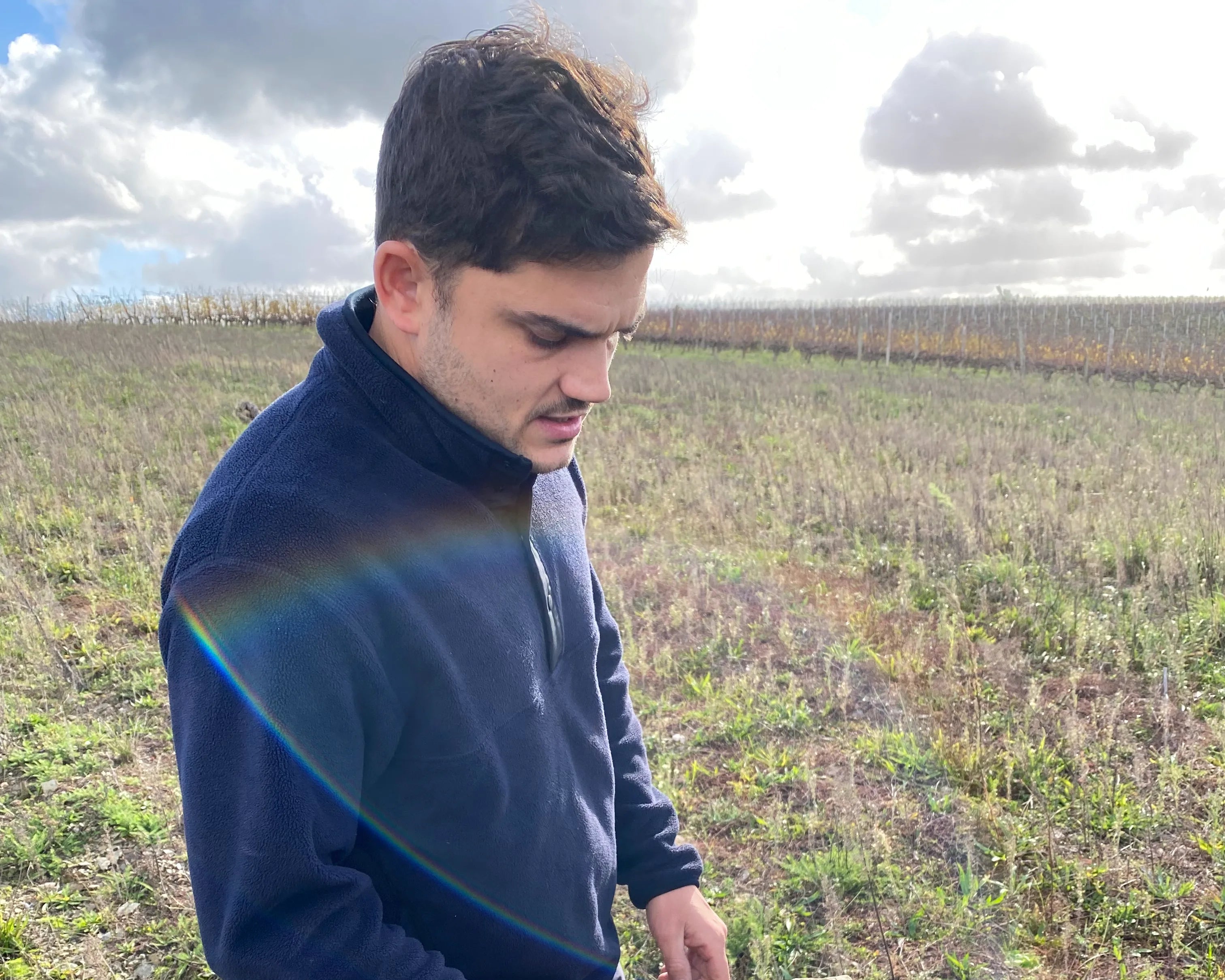 Domaine de Gaubourg