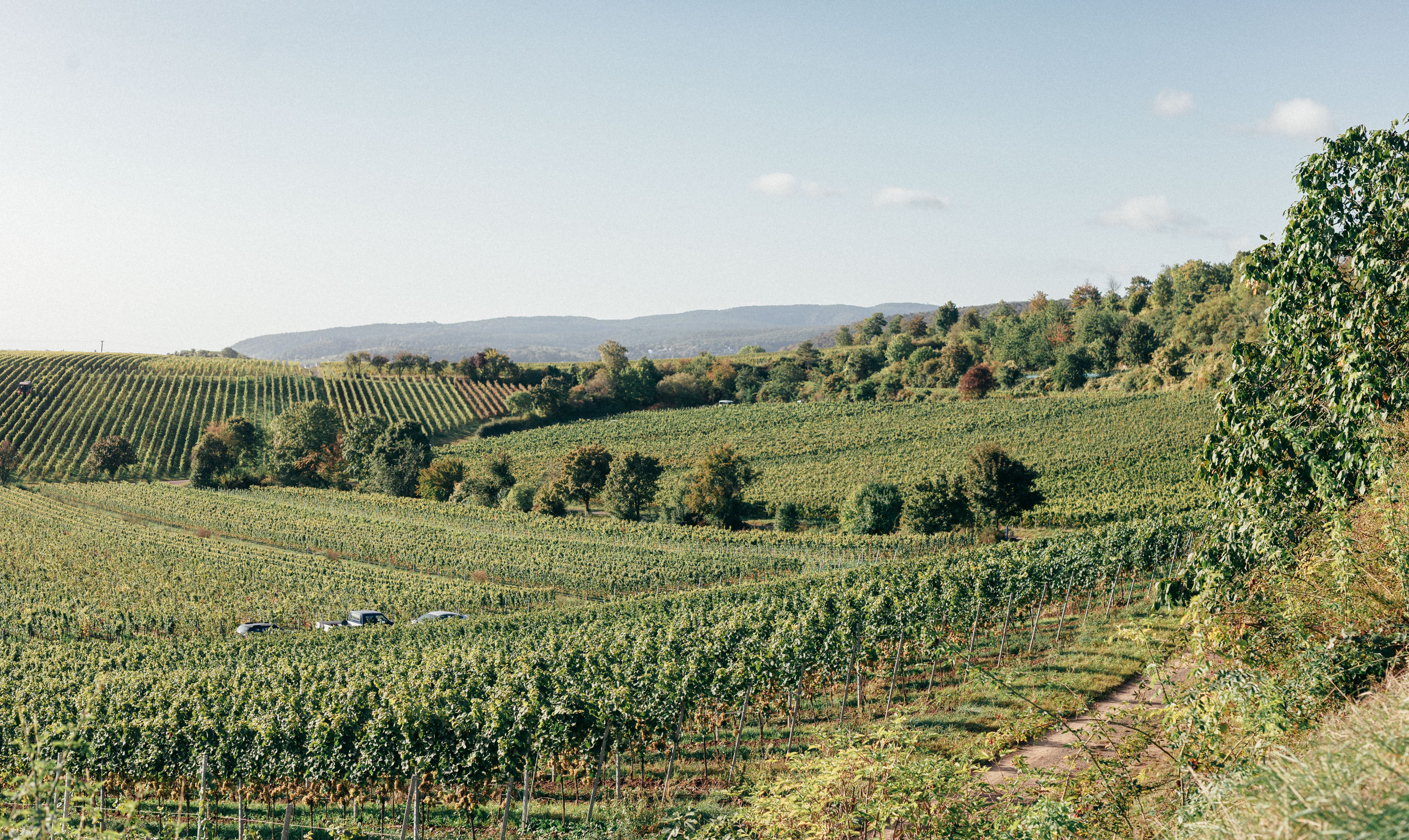 Pfalz