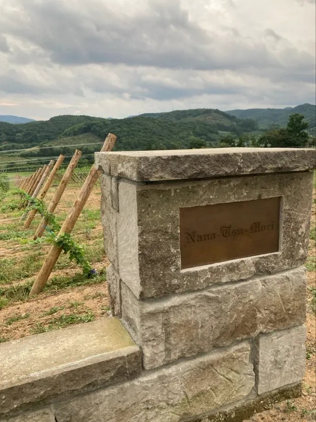 Mauer im Weinberg der Domaine Takahiko auf Hokkaido.