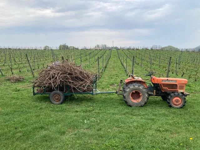 Der Traktor der Domaine Takahiko mit einem Anhänger der das geschnittene Rebholz geladen hat.