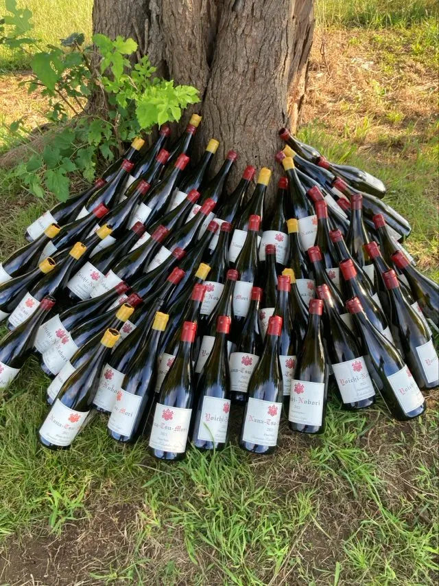 Viele leere Weinflaschen der Domaine Takahiko lehnen an einem Baum.