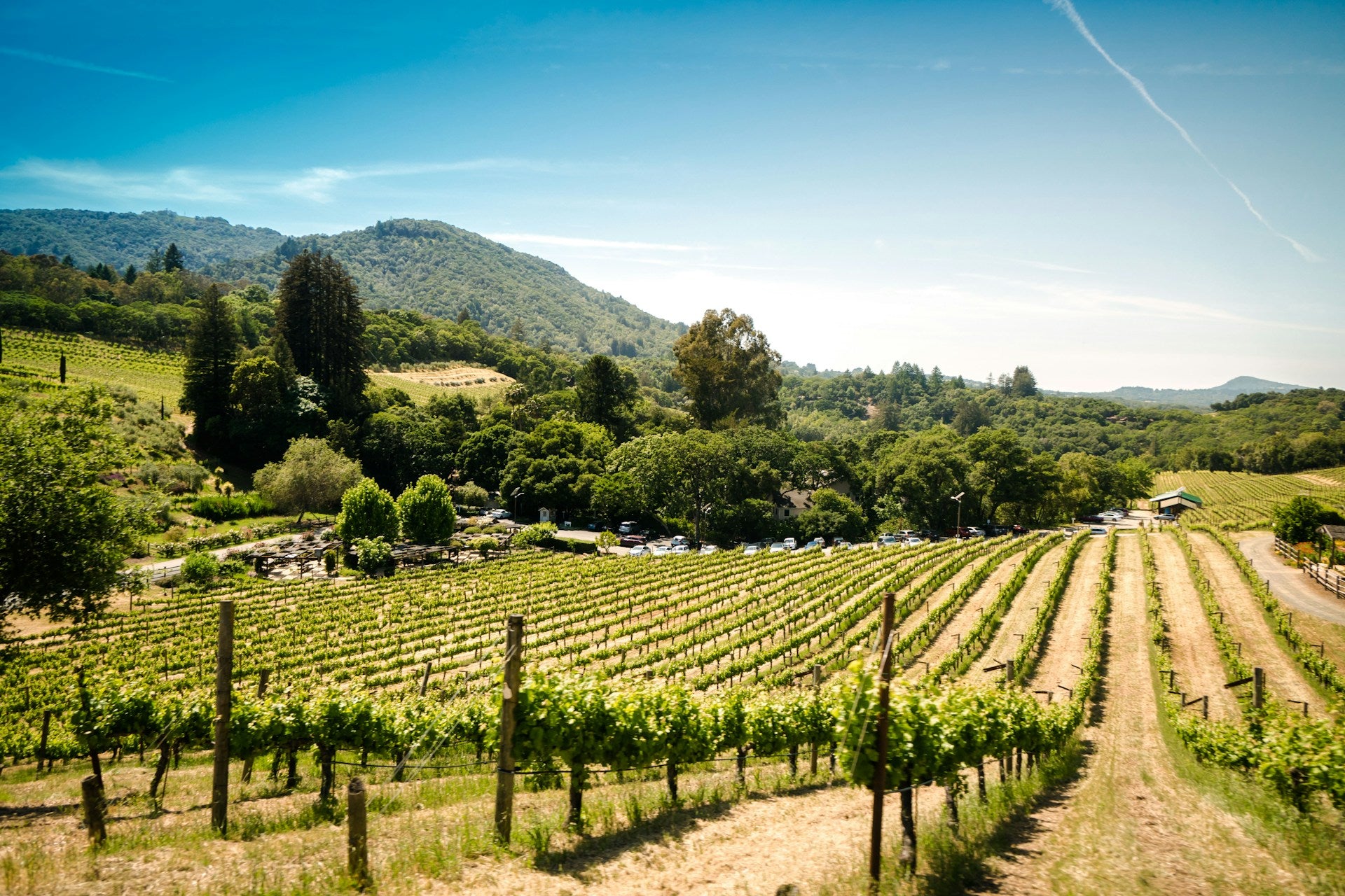 Santa Cruz Mountains